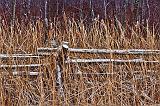 Snowy Rail Fence_19153